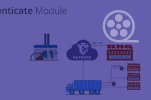 Authenticate Module Explainer