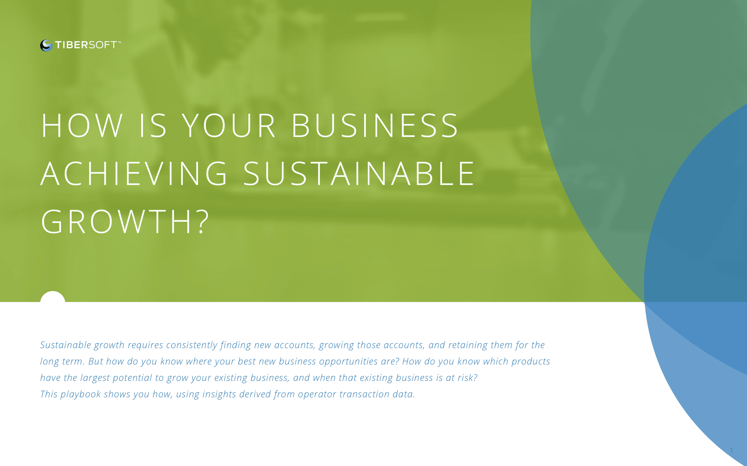 Download Your Sustainable Growth eBook